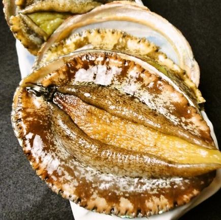 【土佐特产:活龙虾&活鲍鱼】12道菜5,500日元(含税)/无限量畅饮套餐6,500日元(含税)※4人以上