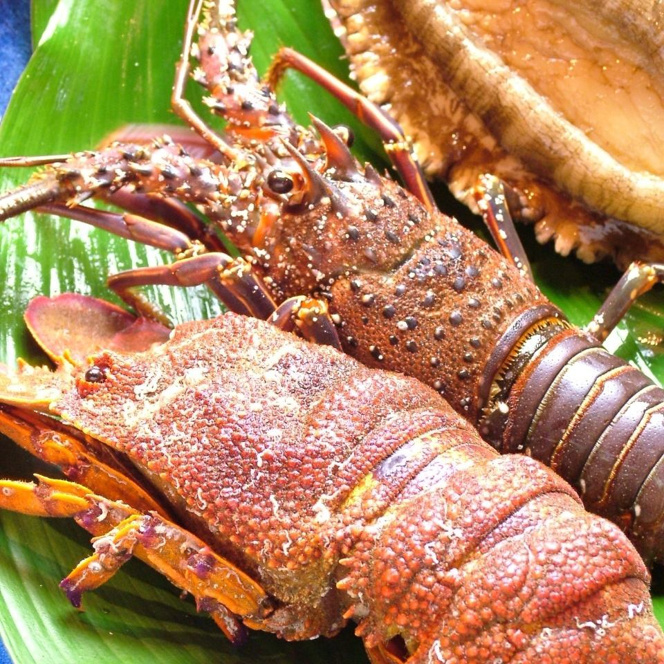 活伊勢海老と活あわびが堪能できる贅沢な飲み放題コース6000円！