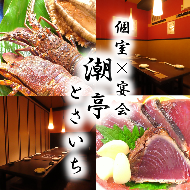 【鮮度抜群】鰹のたたきが大人気。高知産食材をいただける堪能コースもオススメ！