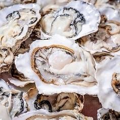 【平日限定！！】★生牡蠣、焼き牡蠣、カキフライ食べ放題★