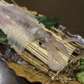 活イカ姿造り