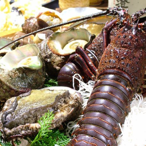 【国内産天然活き伊勢海老＆真鯛と旬のお刺身・天麩羅と各種鍋物の祝宴コース！】　5000円！！