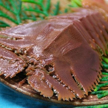 幻の国産天然活うちわ海老尽くしのコース！！