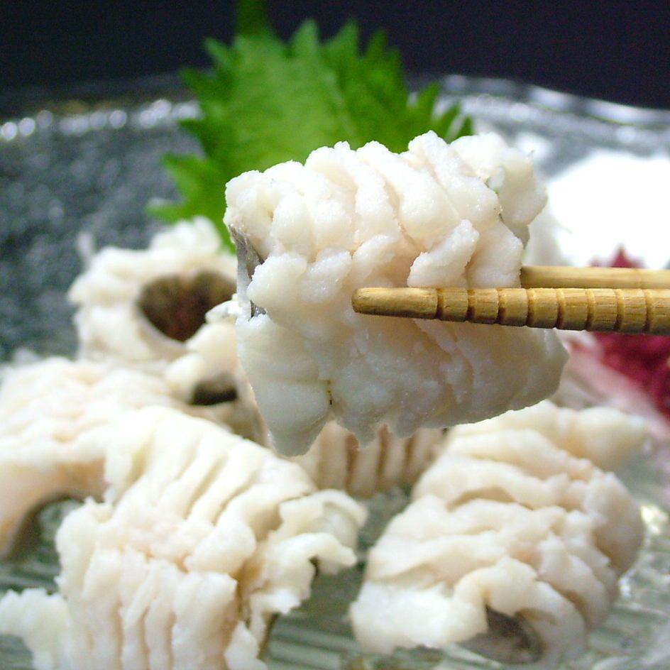 四季日本厳選魚!人気!国産伊勢海老,ハモ,鰻,海鮮しゃぶクエ寿司すっぽんで美味な時間!