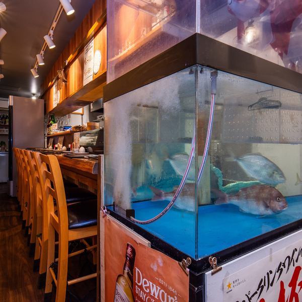 当店の海鮮料理は、生簀から上げたばかりの活魚を使用！透明感のある身と食感が、鮮度の証です。明るく活気のある雰囲気の中で、新鮮な海の幸を心ゆくまで！五感で楽しむ特別な体験をどうぞ♪