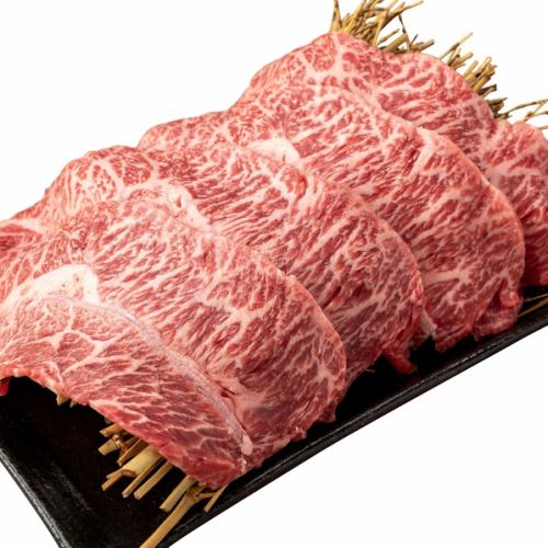 大判ミスジ