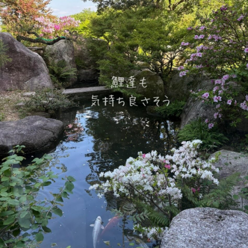 日常の合間にほっと一息