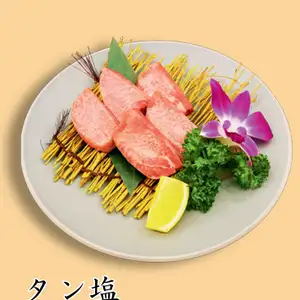 Tan-SIO