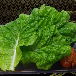 生菜/沙拉菜/陽光生菜/高麗菜套餐(每份)