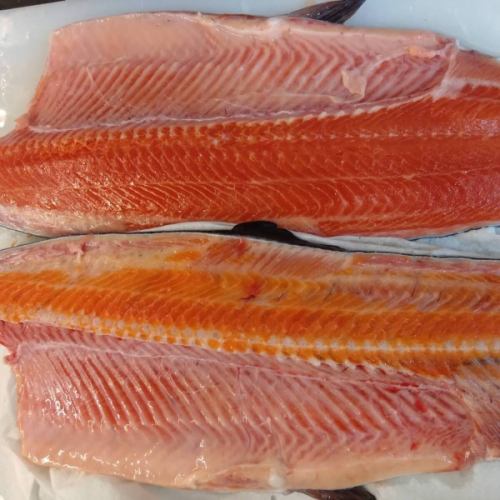 栃木県の養魚場より直送で神経〆ヤシオサーモン届きました！
通常のサーモンよりも色鮮やかで味も良く歯ごたえもあります。

ヤシオサーモンと一緒に、イワナのイクラも届きました。（急速冷凍かけてしまったので写真は冷凍です）
これはおせちのスモークサーモンの上にのせます。
通常のイクラと違い、色が黄色で値段もかなり高めです。ふ化させて成魚にするために採卵するものを、無理を言って特別に送ってもらっているものなんです。ちょっと小粒でしっかりとした歯ごたえがあります。

今日は予約も少ないので、すぐにご案内できると思います。

ご来店お待ちしております！

本当は明日にヒラメ釣りの予定でしたが、時化のため中止となりました(´;ω;｀)
今年はもう釣りに行けません。