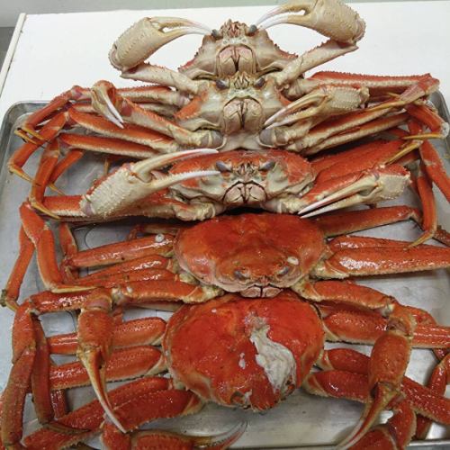 お陰様で本日はご予約で満席でございます。
遅い時間には空くと思われますので、空き次第ストーリーでお知らせします。

うちゅうブルーイング様よりEternal Forestが届きました。
今日からお出しします。超濃厚ですよ！

今日も北海道産オオズワイガニを茹でてあります。
いつも通り剥いてお出しします。

おせちのご予約もだいぶ埋まってきました。
まだの方はお早めに！
売り切れ次第終了です。