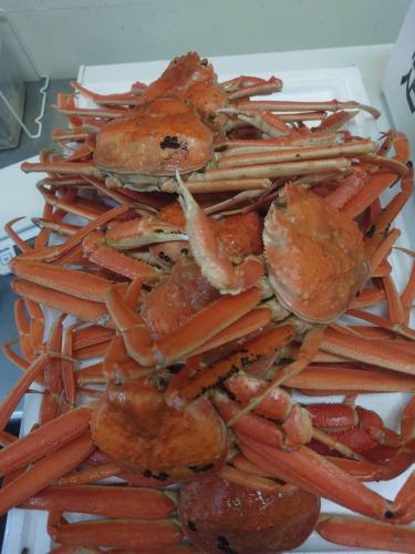 昨日は仕入れが暴走しまして、毛ガニ10杯・ズワイガニ14杯仕入れておりました。
ズワイガニは剥いて1000円でお出ししていたので、残り3杯となりました。
今日は毛ガニも3杯剥きます。
毛ガニは剥く前で600gありました。
噂によると、年末6000円で販売されていたそうです。うおとこでは剥いてから5000円でお出しします。
ご連絡いただければお取り置きも出来ます。
そういえば「最近は釣り行かないの?」とお声掛けいただくことが増えました。
もうちょっと温かくなったら行ってきます。