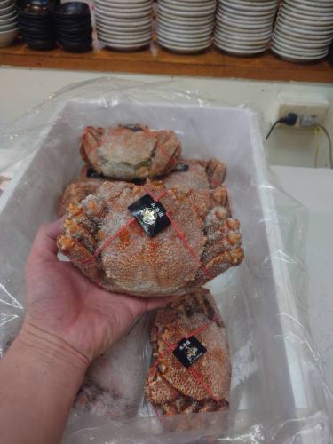 어제는 매입이 폭주해, 털게 10잔·즈와이게14잔 매입하고 있었습니다.

대게는 벗겨 1000엔으로 내놓고 있었으므로, 나머지 3잔이 되었습니다.
오늘은 털게도 3잔 벗깁니다.
털게는 벗기기 전에 600g이었습니다.
소문에 의하면, 연말 6000엔으로 판매되고 있었다고 합니다.우동은 벗겨 5000 엔으로 내 드립니다.
연락 주시면 설치도 가능합니다.

그러고 보니 "최근에는 낚시 가지 않는거야?"라고 말씀해 주시는 것이 늘어났습니다.
좀 더 따뜻해지면 갑니다.