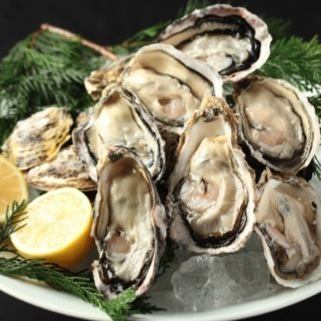 ★Night Oyster Set/From 9pm/2500 yen per person for a toast with sparkling wine and oysters★