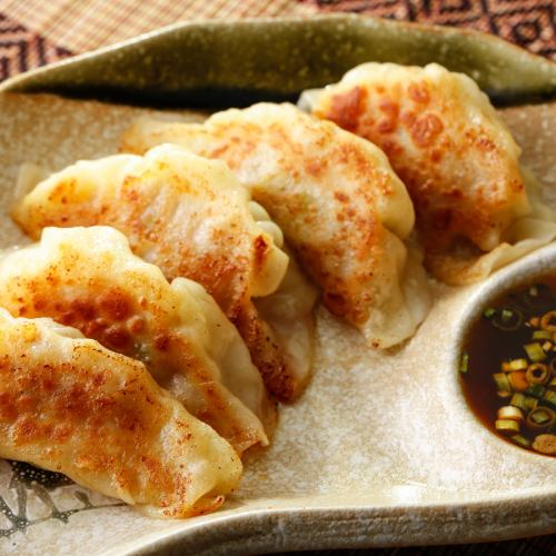Grilled dumplings (Gyoza) / fried spring rolls