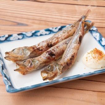 烤 Shishamo Shishamo / 烤北海道小牧 各