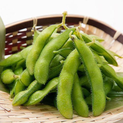 先どり生もぎ枝豆(茹で または 焼き)