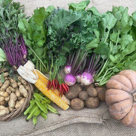 유기농 채소를 듬뿍 사용한 요리