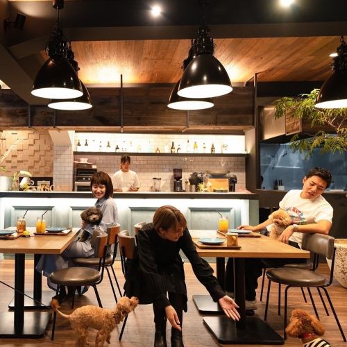 [Osu] Dog cafe♪