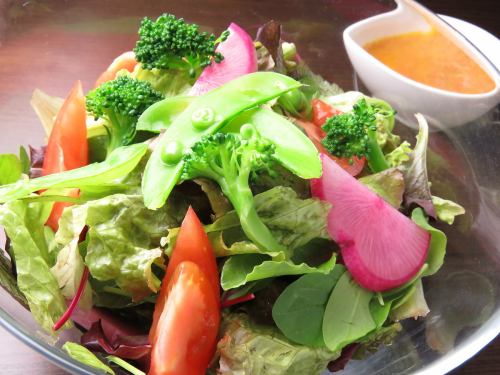 简单的绿色沙拉配苦菜
