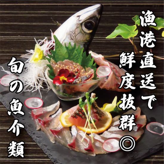 漁港直送で鮮度抜群！旬の魚介を個室のプライベートな空間で…