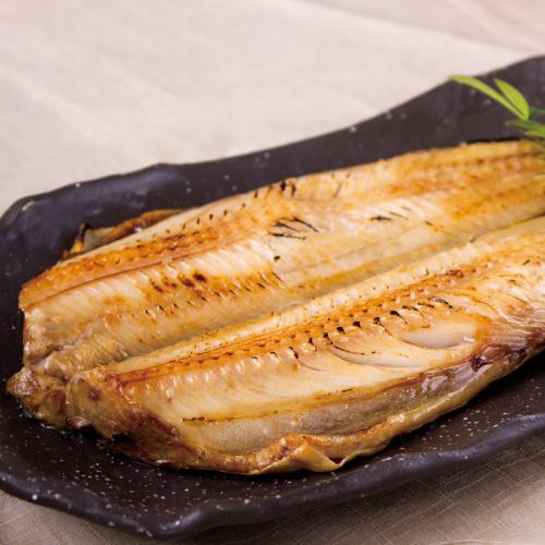 Extra large striped mackerel