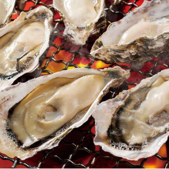 【食べ放題コース-梅-】焼き牡蠣や地鶏串焼、カルビなど《全50品120分食べ放題》4480円→2980円