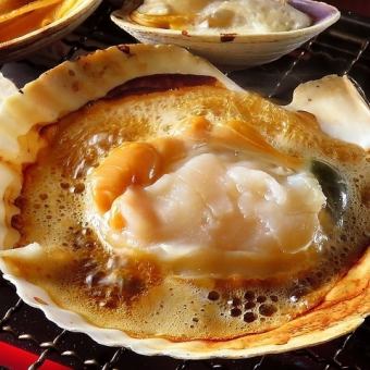 【食べ放題コース-竹-】殻付きホタテや焼きとん《全60品120分食べ放題》5480円→3980円