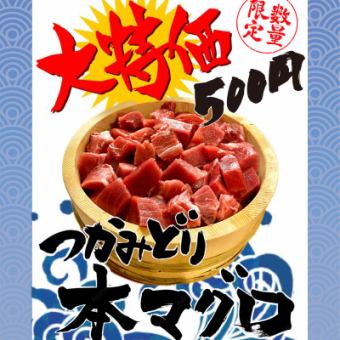 〈大特価！！〉数量限定 つかみどり本マグロ