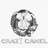 bar CRAZY CAMEL(クレイジーキャメル)二次会 個室