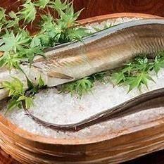 旬の鱧(はも)満喫特選コース しゃぶしゃぶや多数鱧料理を楽しめます! 7,000円