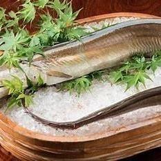 享用以時令海鰻(鰻魚)為特色的特色套餐!品嚐涮涮鍋及其他多種海鰻料理! 7,000日圓