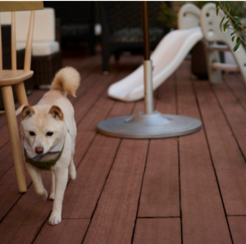 【テラス席ペットOK!】