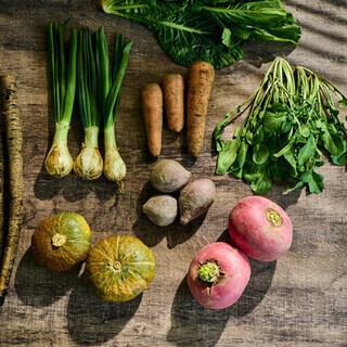 【宗教や食事制限に対応】 ヴィーガンコース or グルテンフリーコース ※どちらか選択可◎5500円