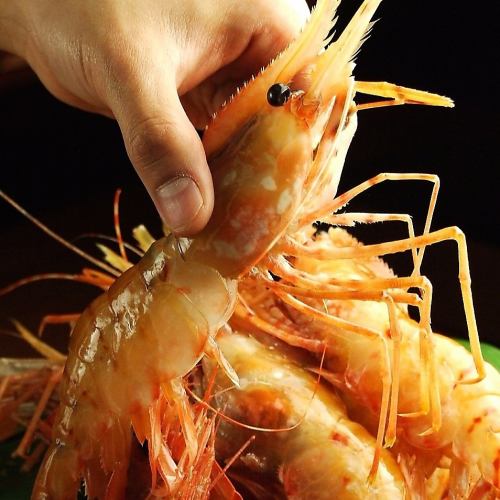 2 L size extra large button shrimp sashimi