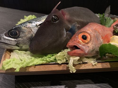 旬の海鮮を！
