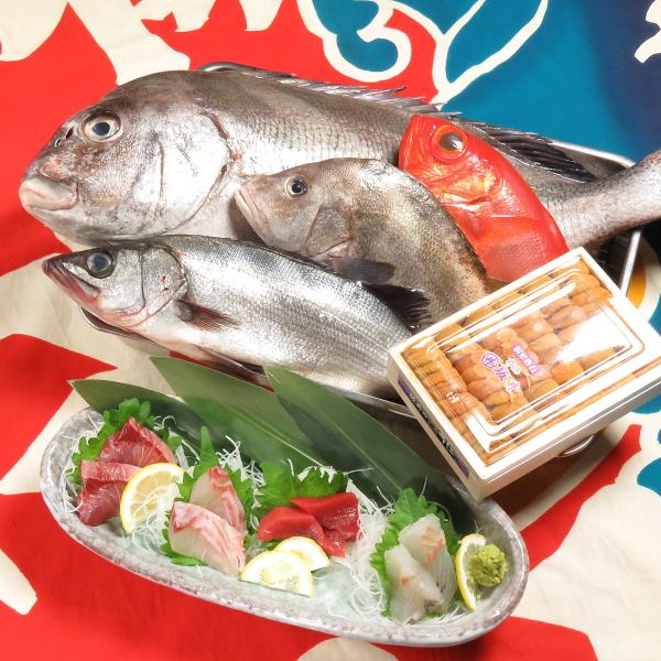 【旬の海鮮料理】旬の魚を毎日厳選仕入れ。お酒との出逢いもお愉しみください！