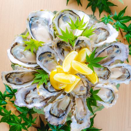 Assortment of fresh raw oysters