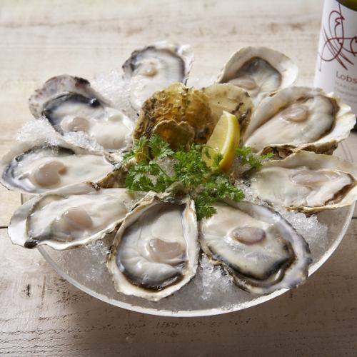 Cold Oyster (1 piece)