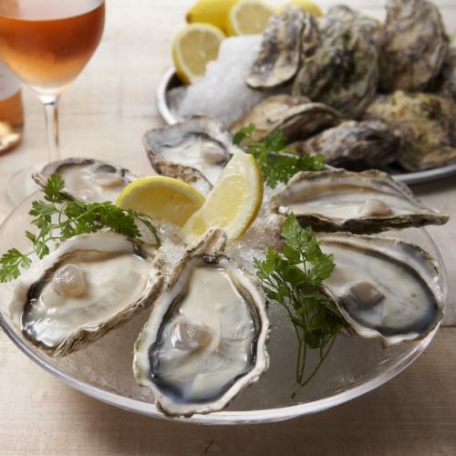 Oyster 6 (1/13~1/25)