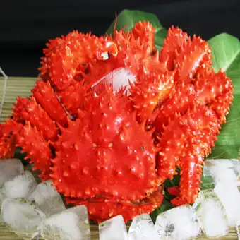 《稚内・利尻・留萌》花咲ガニ