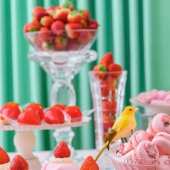 【4月~6月】<ディナー>ワイン&生ビール飲み放題付・満開春桜といちごのスイーツビュッフェ