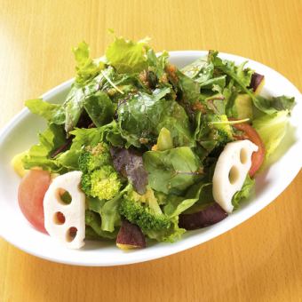 Green salad of colorful vegetables
