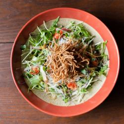 Fried soba salad Japanese style soy sauce