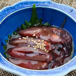 반딧불 오징어