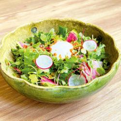 温玉チーズのシーザーサラダ