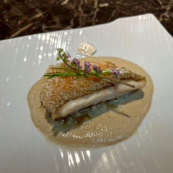 《ディナー》【おまかせコース】魚介と野菜の焼物、ステーキなどを楽しむ◎全6品9900円(税込)