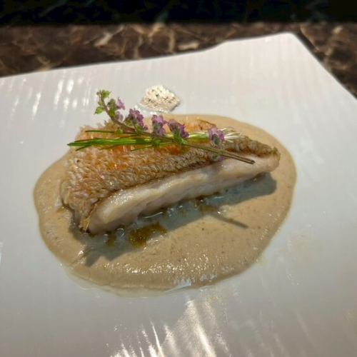 おまかせコースで、特別な日を華やかに演出◎