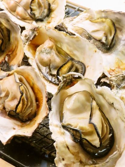 新鮮な牡蛎が食べ放題!炭焼/蒸し/フライなど調理方法も様々!