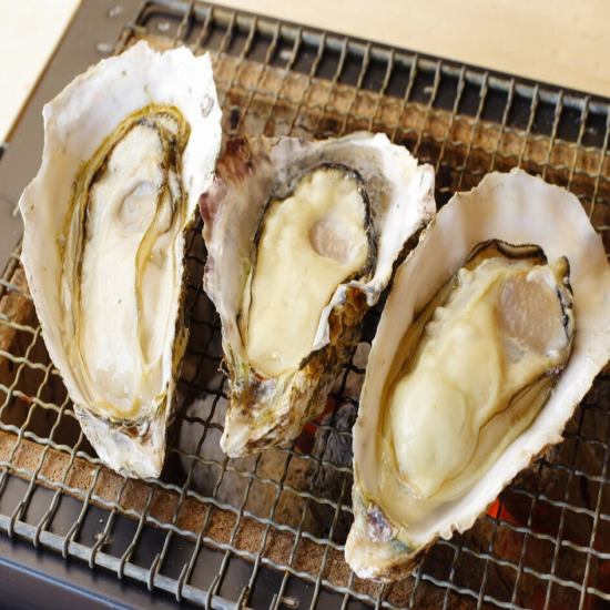 新鮮な牡蛎が食べ放題!炭焼/蒸し/フライなど調理方法も様々!